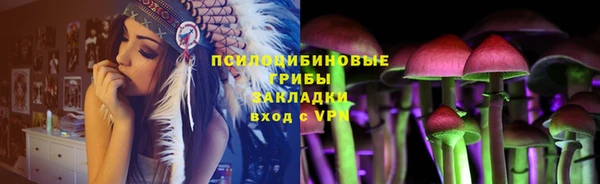 спиды Касимов