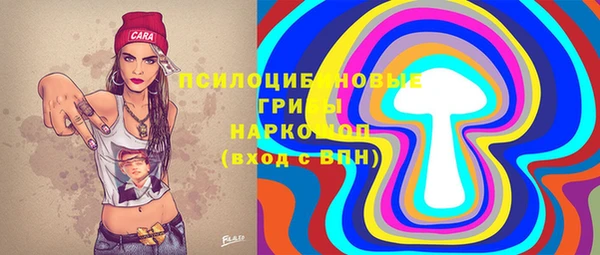 твердый Кинешма