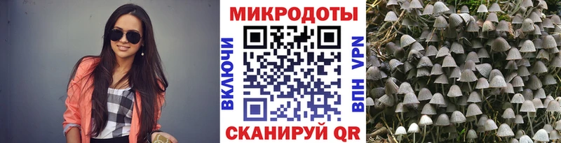 Купить где  Мариинск  Галлюциногенные грибы ЛСД 